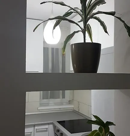 Lux Taberei Kluž